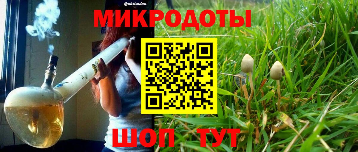 Псилоцибиновые грибы мухоморы Коряжма