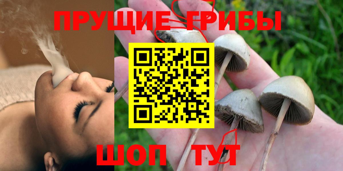 Псилоцибиновые грибы прущие грибы  Вход с VPN  Коряжма  Псилоцибиновые грибы GOLDEN TEACHER 